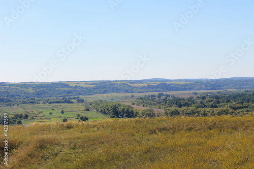 Summer landscape with meadow, trees and hills © olyasolodenko