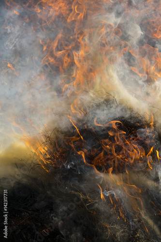 Fire - burning dry grass