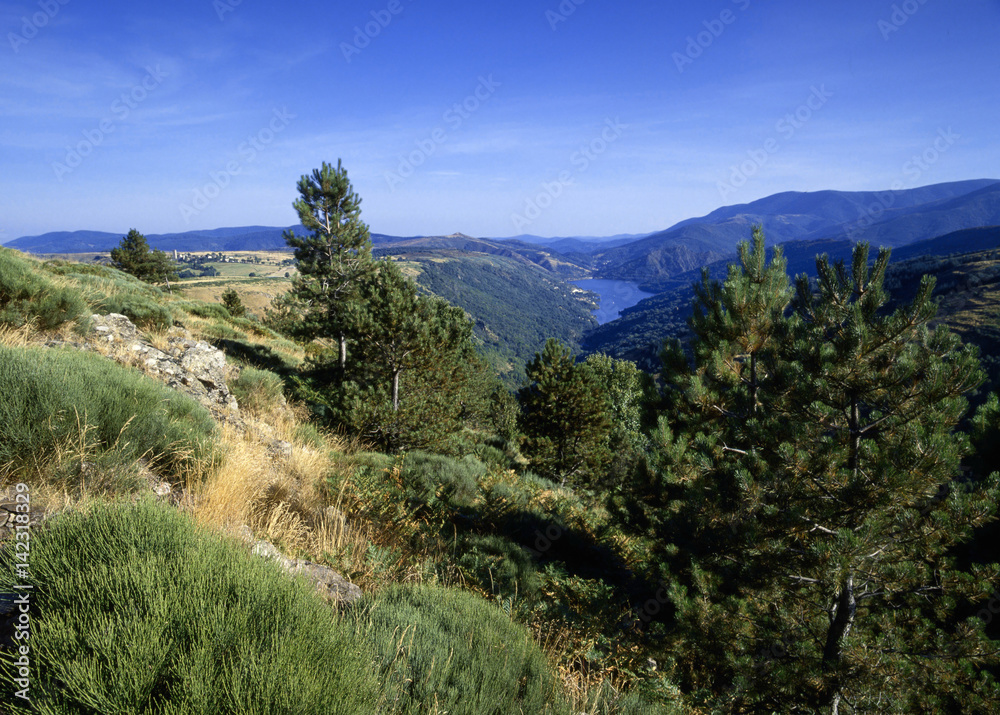 Cevennes national park France - Shot on Film