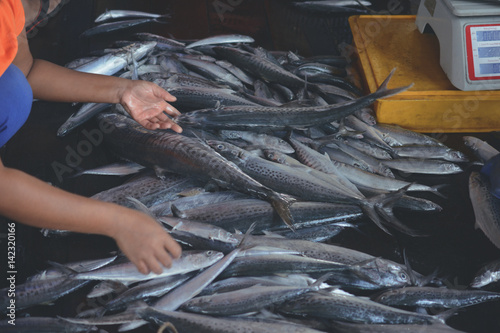 fresh king mackerel fish on wet wooden floor with people in morning market.