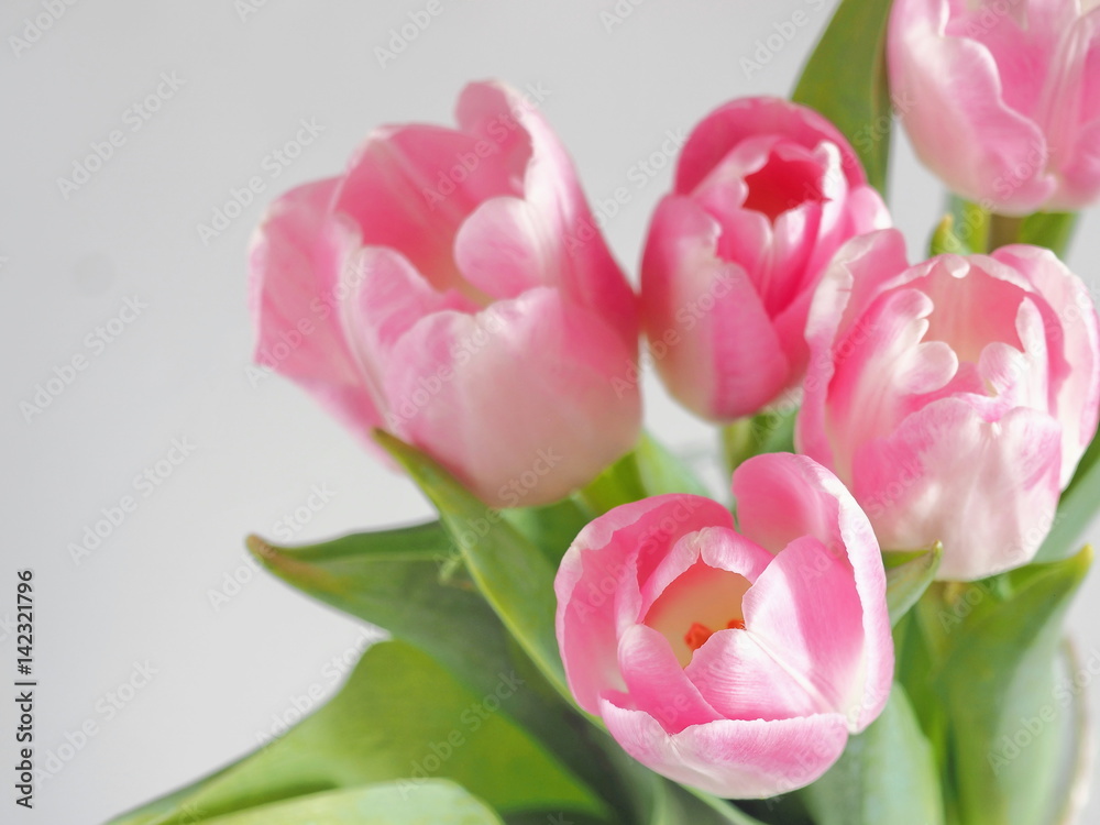 Fototapeta premium Flower background, blur. Greeting card. Bouquet of pink tulips in a vase. Selective focus on the front.Top view. Copy space for your text.