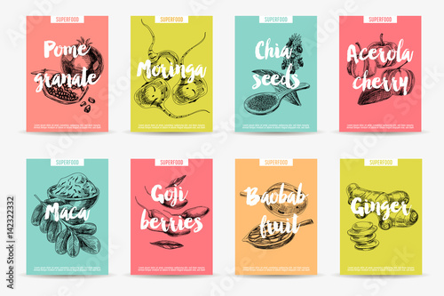 Vector hand drawn superfood Illustration.