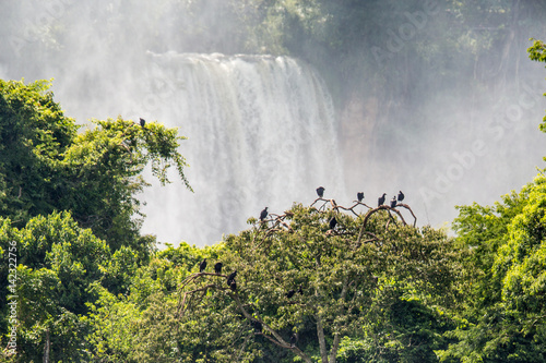 Obraz na plátně Detailansicht der Wasserfälle Las Cataratas del Iguazú (span