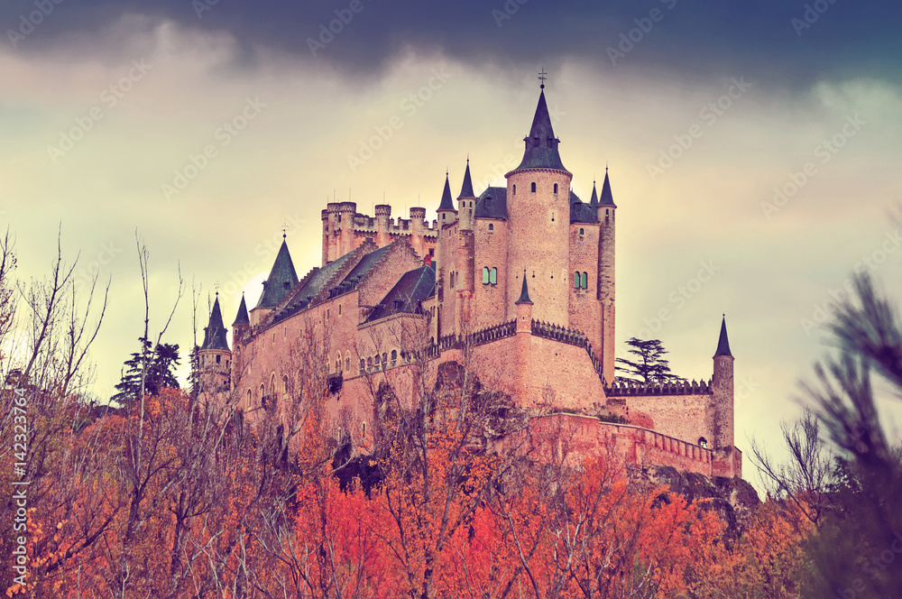  Castle of Segovia in november