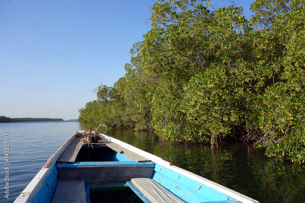 Traditional pirogue in the Sine Saloum Delta, Senegal