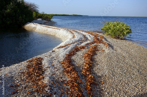 Islands made out of seashells, Sine Saloum Delta, Senegal photo