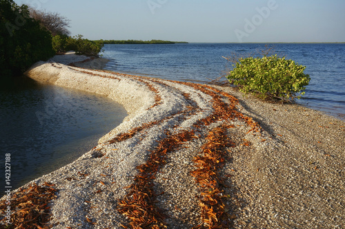 Islands made out of seashells, Sine Saloum Delta, Senegal photo