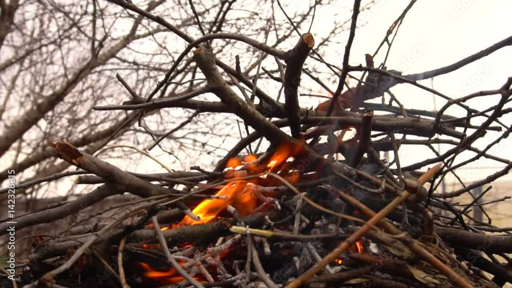 Burning dry branches. Slow shooting of fire Burning dry branches. Slow shooting of fire