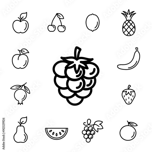 raspberry berry with leaf line icons set black on white