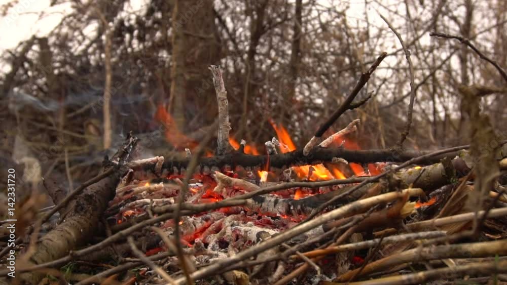Burning dry branches. Slow shooting of fire Burning dry branches. Slow shooting of fire