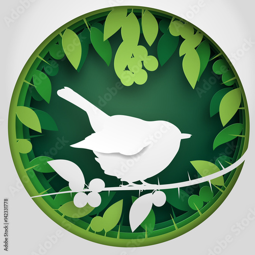 Paper box of shadow to bird on Blackthorn tree branch, vector illustration.