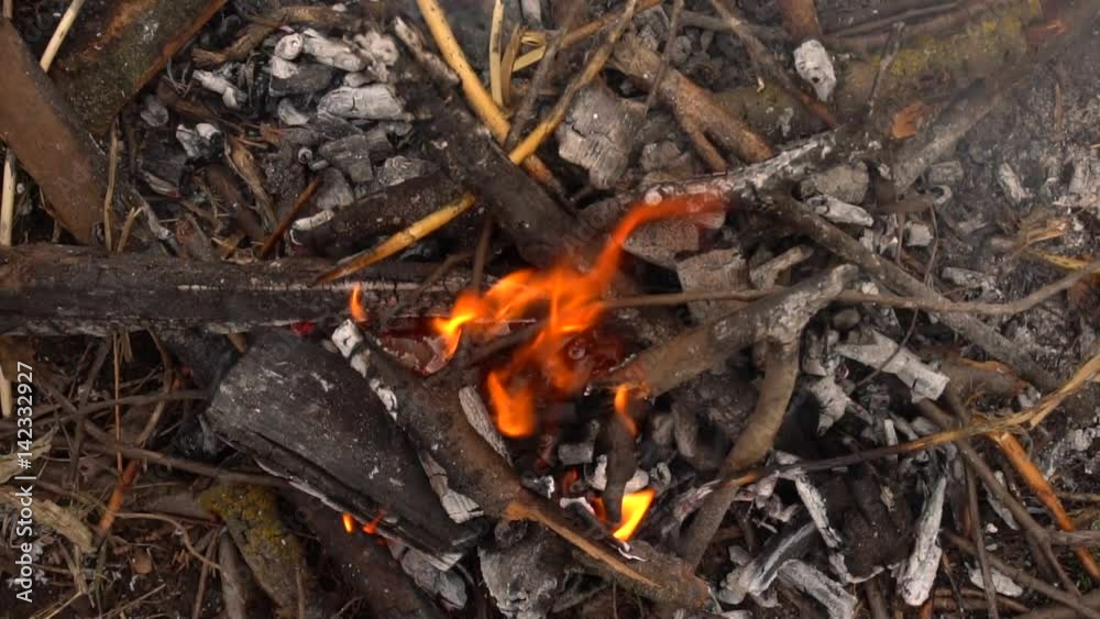 Burning dry branches and firewood. Slow shooting of fire Burning dry branches and firewood. Slow shooting of fire