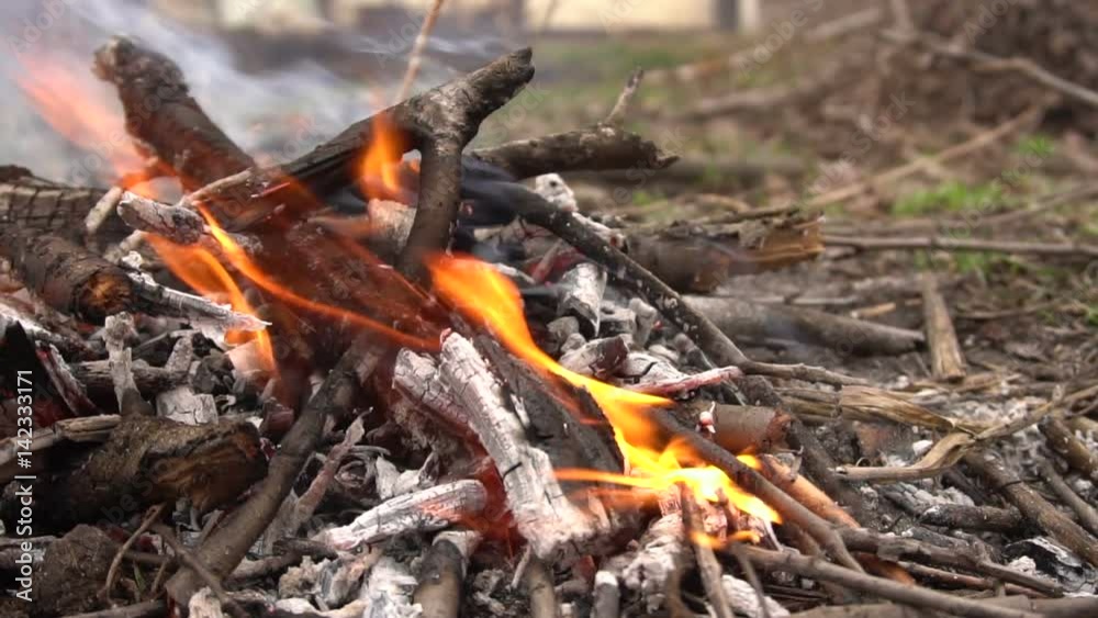Burning dry branches and firewood. Slow shooting of fire Burning dry branches and firewood. Slow shooting of fire