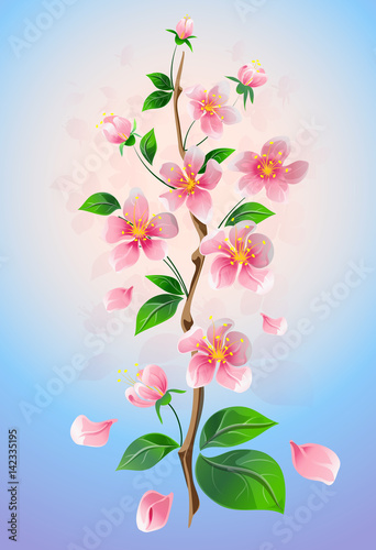 Blossoming branch on a blue background