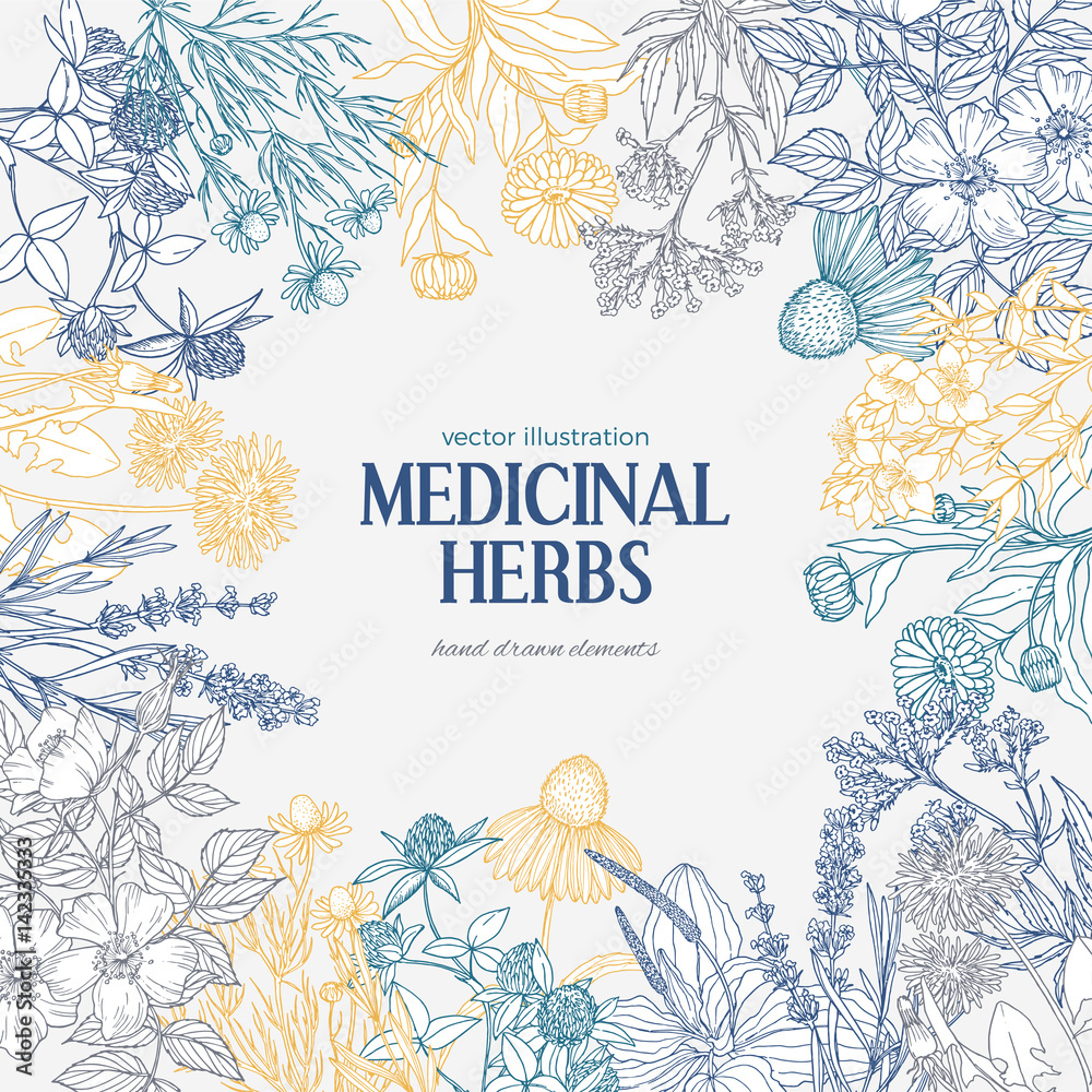 Square color card template with medicinal herbs and flowers Stock ...