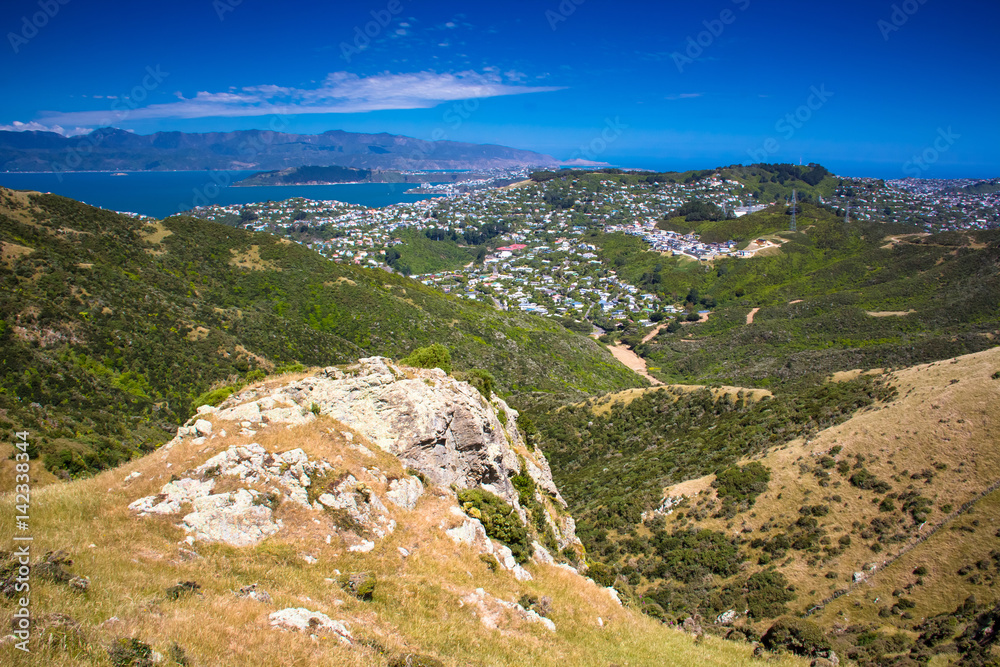 Fototapeta premium Location: New Zealand, capital city Wellington. View from the SkyLine track and Mount KayKay
