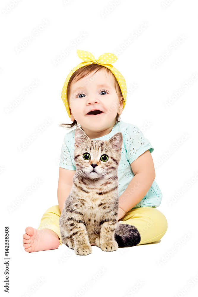 Cute little girl sitting with kitten Scottish Straight, isolated on white background Cute little girl sitting with kitten Scottish Straight, isolated on white background