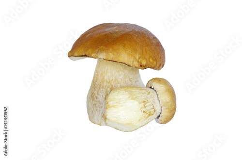 White mushrooms (lat. Boletus edulis) isolated on white background