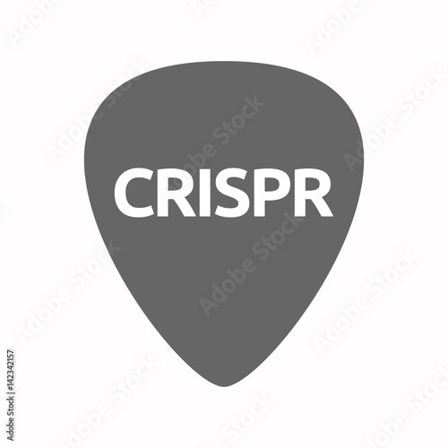 Isolated guitar plectrum with  the clustered regularly interspaced short palindromic repeats acromym CRISPR
