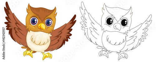 Animal outline for owl