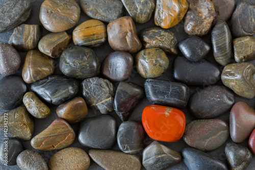 Bild auf Leinwand Black brown stones with one coral orange pebble gravel stands out between dark o