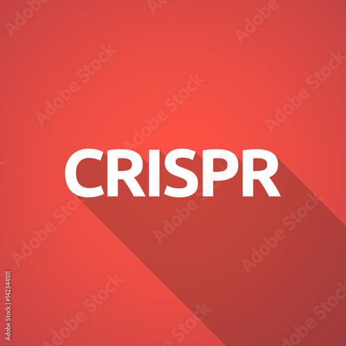 Illustration of  the clustered regularly interspaced short palindromic repeats acromym CRISPR