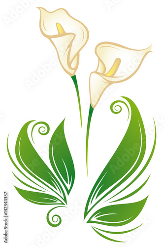 Beautiful lilies walltattoo 