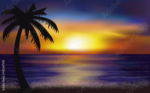 Evening tropical sea  vector illustration