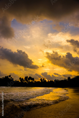 Dramatic sunset cloudy sky over the ocean. Wild tropical beach with a dark silhouettes of palm trees on the horizon in Sri Lanka.