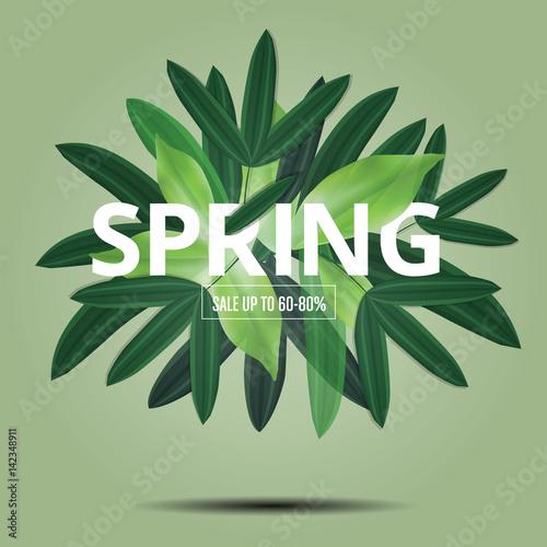 Spring lettet green Seasaon Background Green, Sale Banner voucher, vector illustration photo