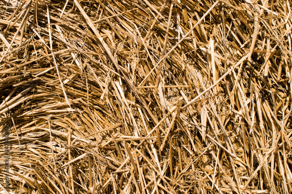 dray hay stack background