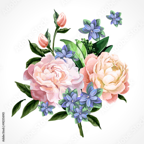 Isolated peonies flowers.
