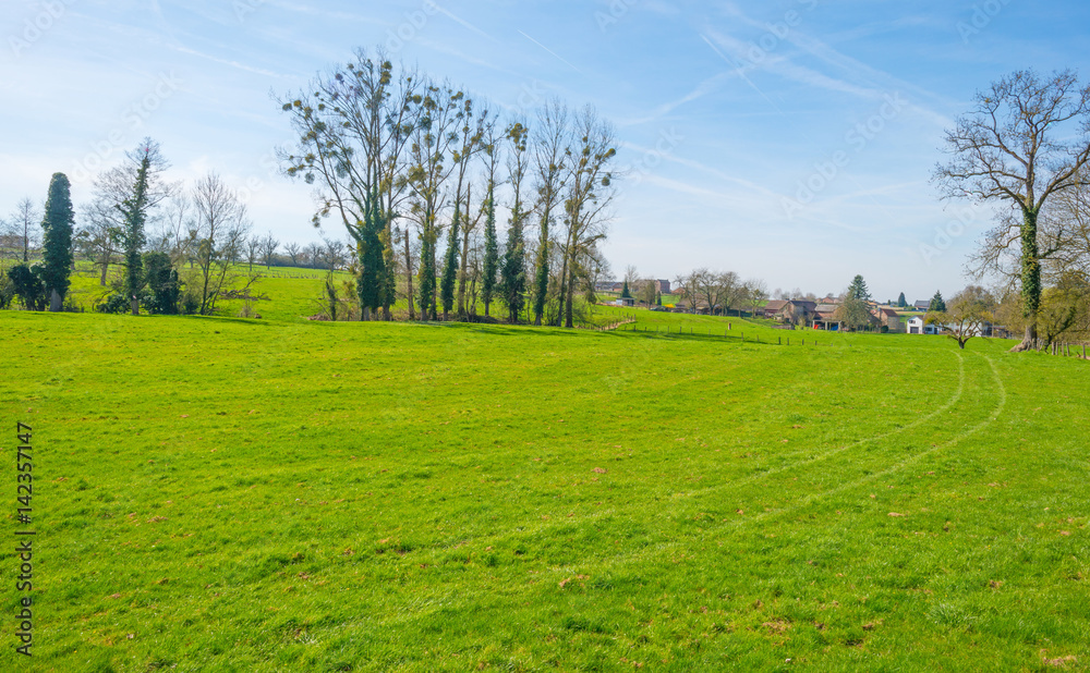 Panorama of a sunny green meadow on a hill 