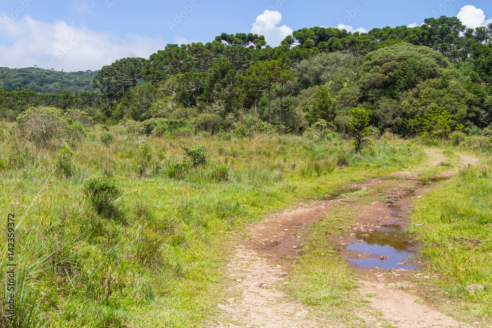Trail in Itaimbezinho Canyon