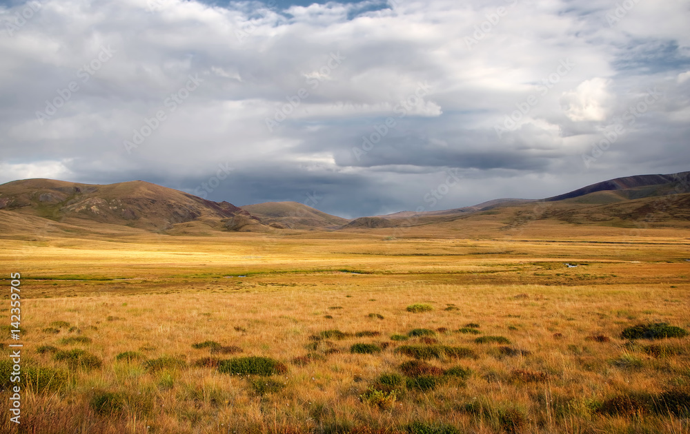 A Wide Valley Steppe With Yellow Grass Under A Cloudy Sky On The 