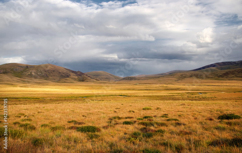 A wide valley steppe with yellow grass under a cloudy sky on the background of mountain ranges, the Altai mountains, Siberia, Russia photo
