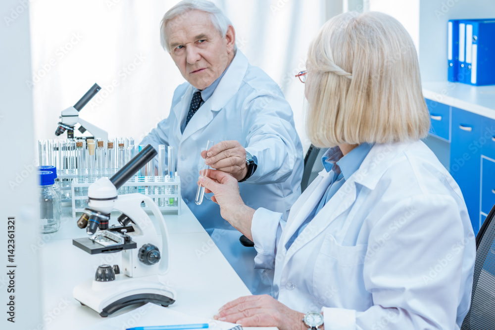 senior chemists holding test tube in laboratory senior chemists holding test tube in laboratory