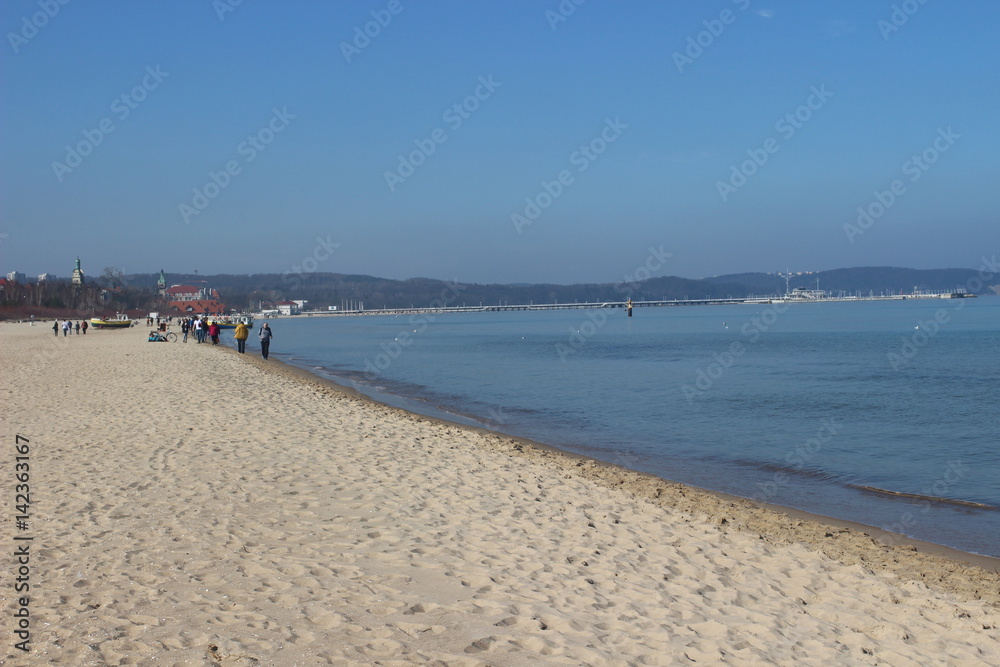 Blackheaded gull on the beach, seagull and swan an the beach, birds on the sea, pier on the sea, pier, sea, swan, sunny day on the beach, sunny say on the sea, baltic sea, 