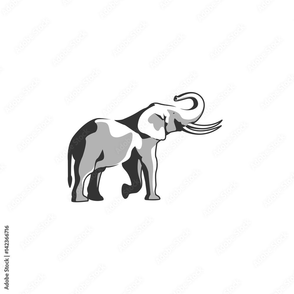 Fototapeta premium elephant vector
