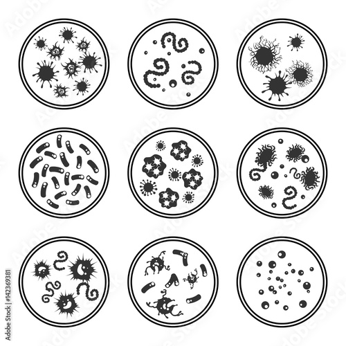 Phatogen virus and immune bacteries in Petri dish isolated on white, vector illustration
