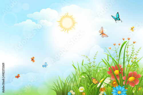 Summer meadow background with green grass, flowers and sun