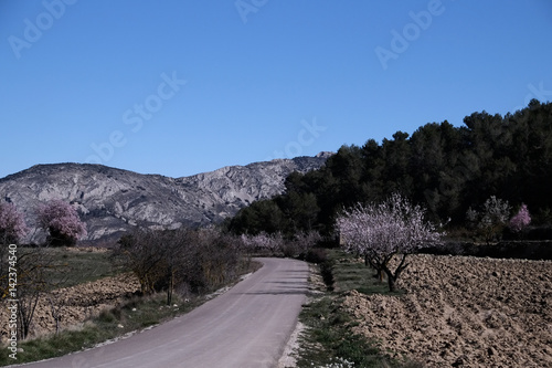 Winding road in scenic landscape of Alicante, Spain photo