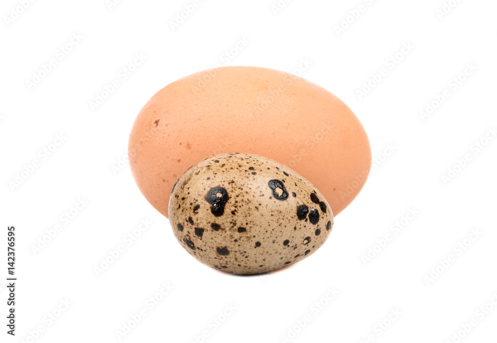 Raw chicken and quail eggs isolated on white background Raw chicken and quail eggs isolated on white background