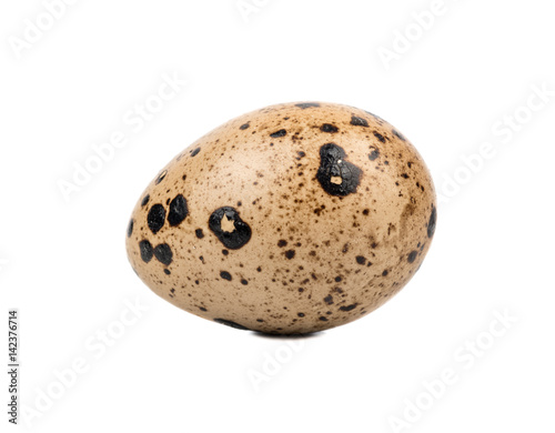 Fresh quail egg isolated on white background