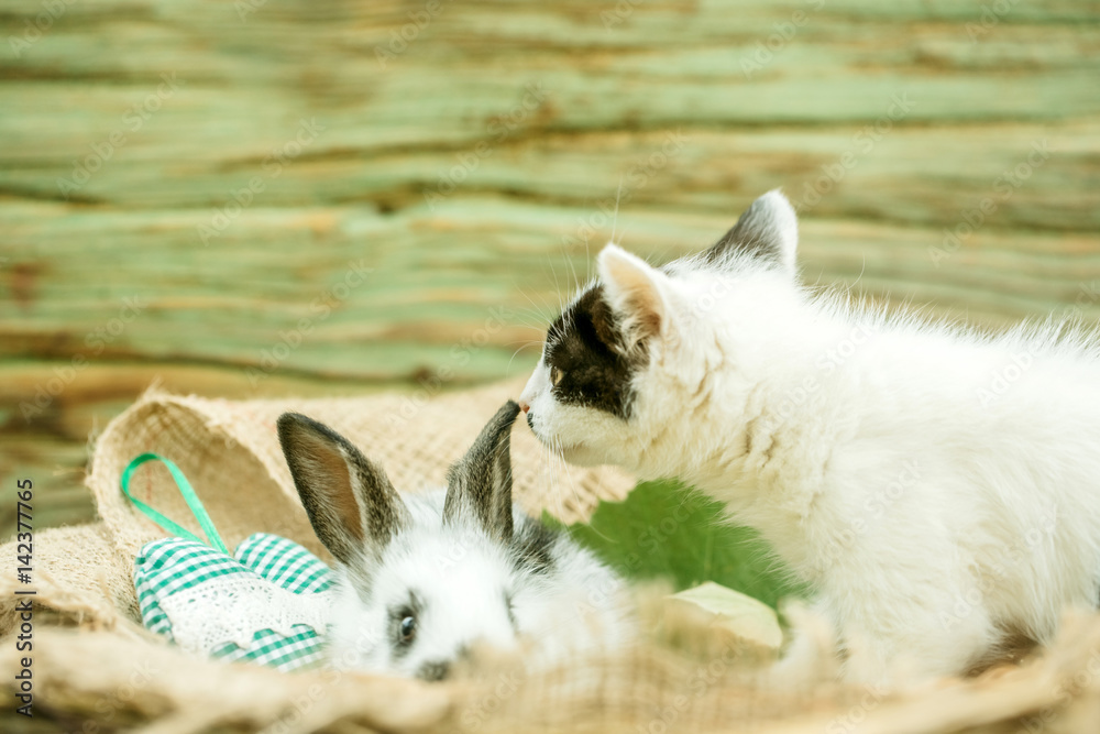Fototapeta premium Cute small rabbit and little cat playing on sackcloth
