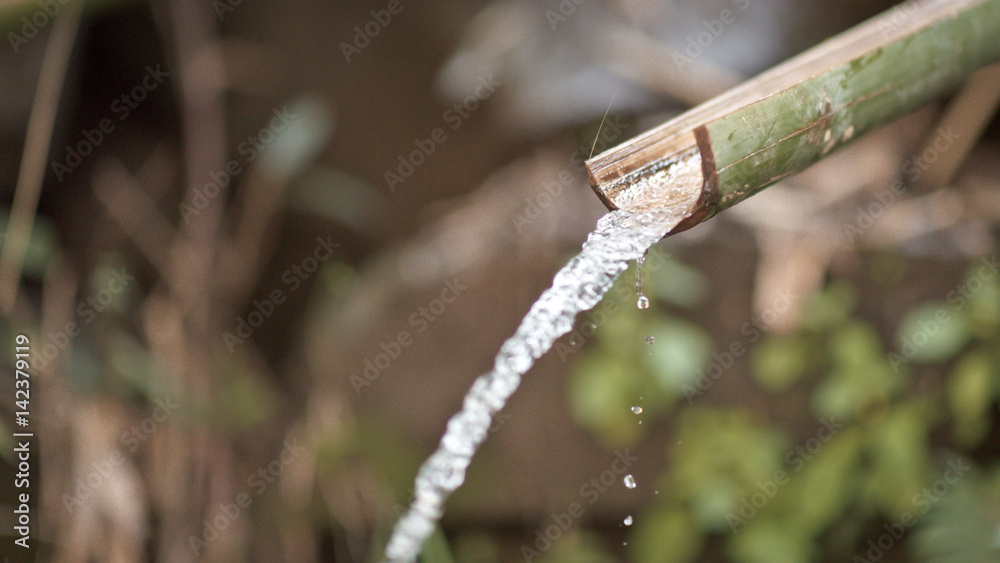 Bamboo Waterfall Bamboo Waterfall