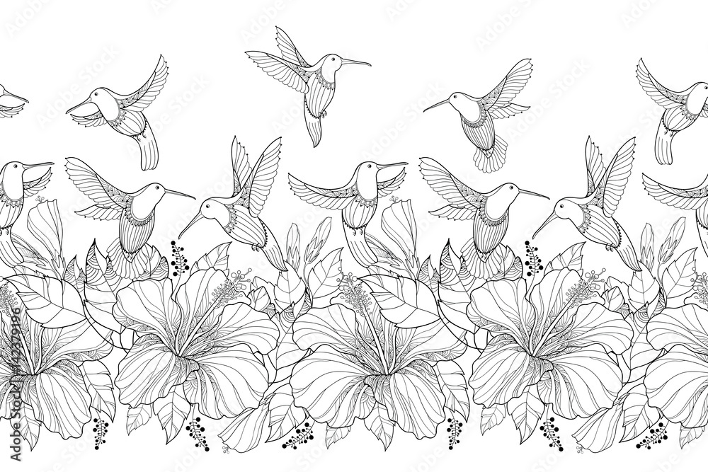 Vector seamless border with Hibiscus flower and flying Hummingbird or Colibri in contour style on the white background. Outline tropical flowers and bird for exotic summer design and coloring book. Vector seamless border with Hibiscus flower and flying Hummingbird or Colibri in contour style on the white background. Outline tropical flowers and bird for exotic summer design and coloring book.