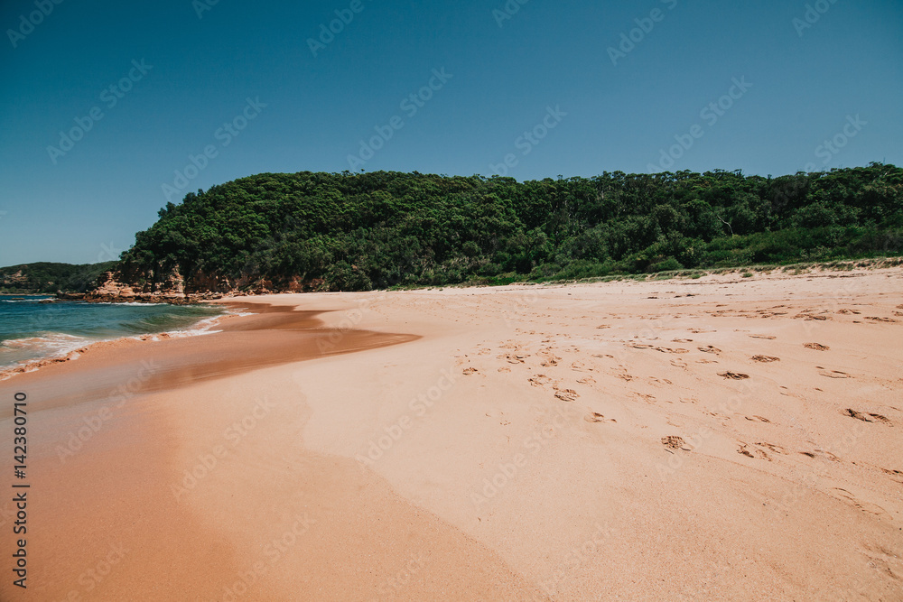 Australian beach in Maitland Bay, New South Wales.