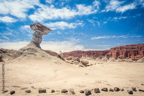 Rock shape in desert III, Vale de la Luna, Ischigualasto, Argetina