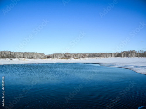 Голубое озеро весной с лесом 